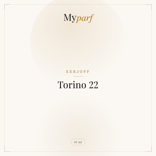 TORINO 22