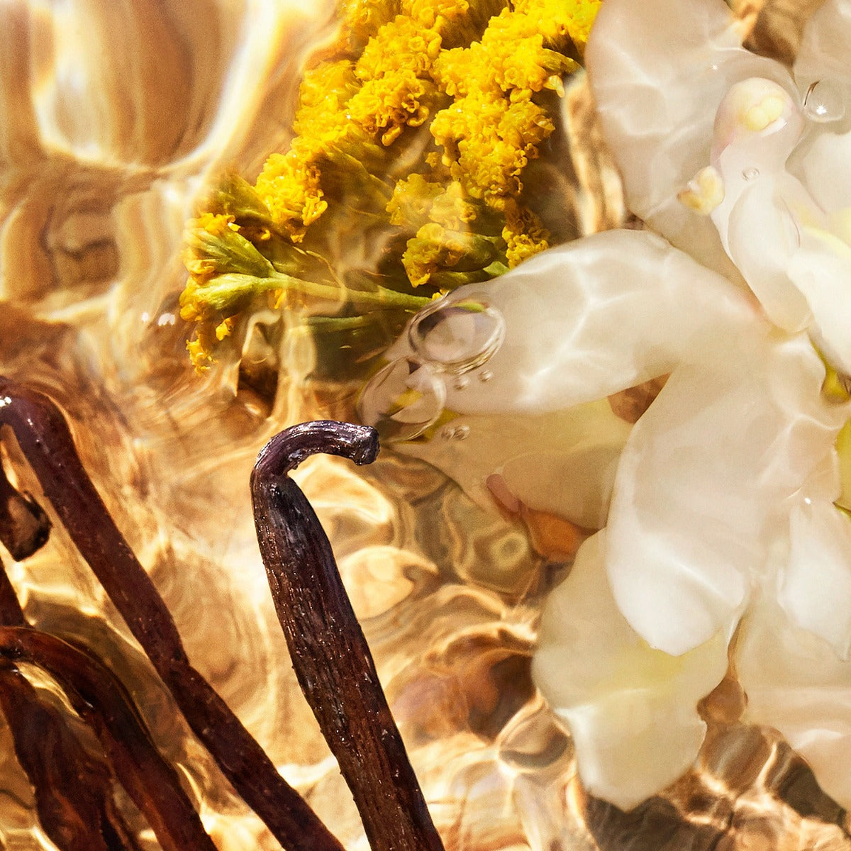 MYPARF-REAL sha=2c188728