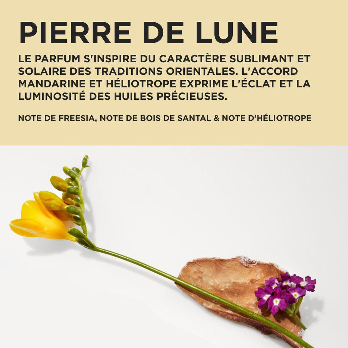 Kérastase Elixir Ultime Coffret Duo Nutrition & Éclat